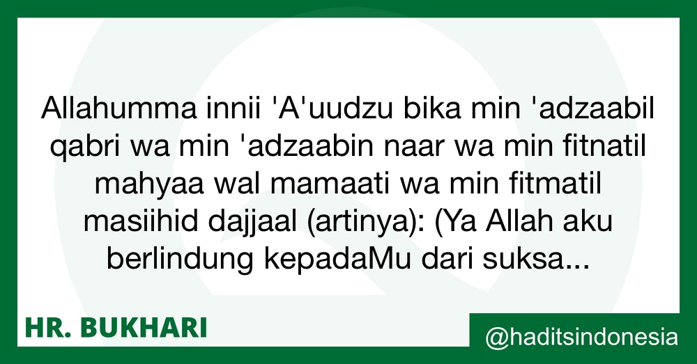 Yalangoch tukli mushuklarning fotosuratlari